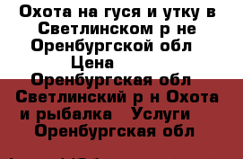 Охота на гуся и утку в Светлинском р-не Оренбургской обл › Цена ­ 650 - Оренбургская обл., Светлинский р-н Охота и рыбалка » Услуги   . Оренбургская обл.